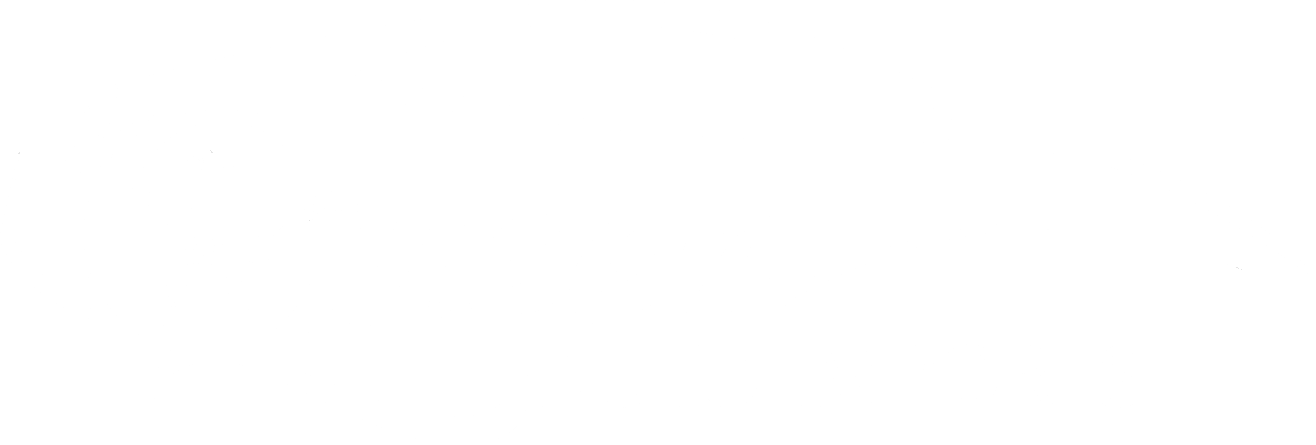 Queen Auto Imports